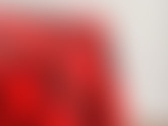 Hot Review! Maroon and Red Checkered Vintage Tablecloth