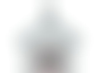 Top 5! QR Code | Blush Pink Dog Cat If Lost Scannable Pet ID Tag
