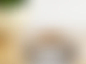 Top 10! Personalized Tan Giraffe Animal Print Pet Bowl