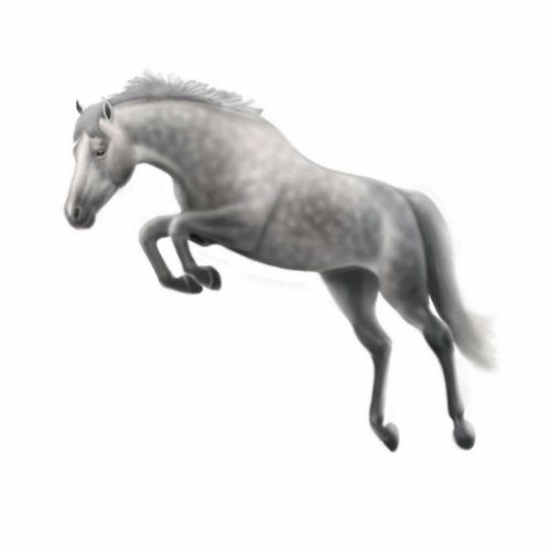 Custom alt text