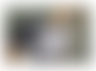 Hot Review! Grey Crowned Crane Pillowcase