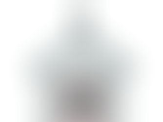Top 5! QR Code | Blush Pink Dog Cat If Lost Scannable Pet ID Tag