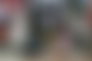 The Pines Summer Party Gig