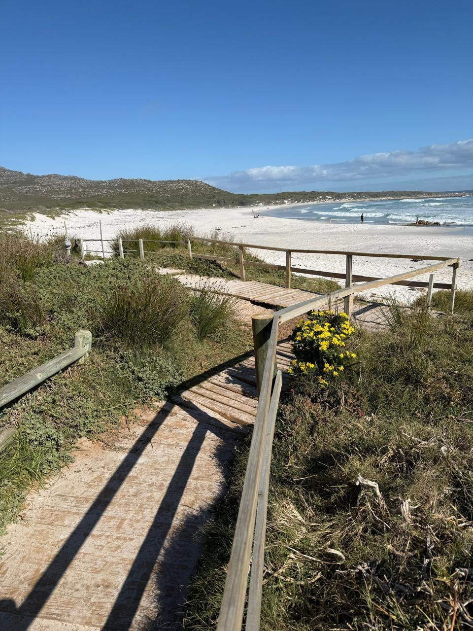 WhatsApp Image 2025-07-17 at 12.48.14_f2008498