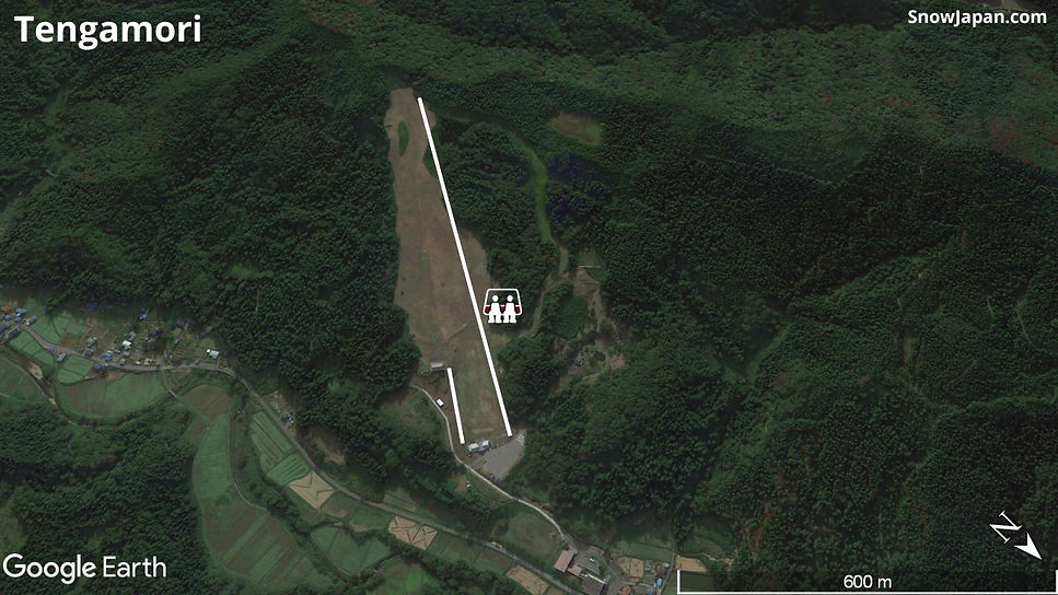 Ski area lift layout