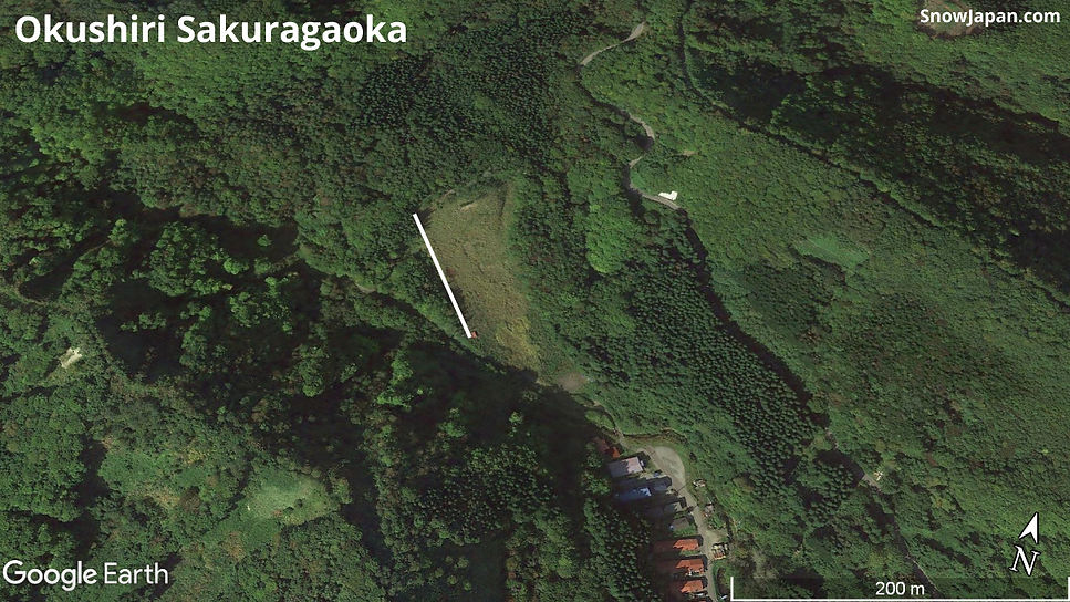 Ski area lift layout