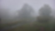 Nozawa Now: 6th October 2026