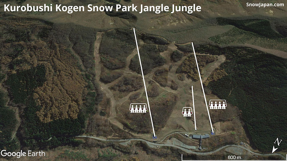 Ski area lift layout