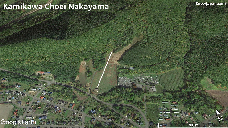 Ski area lift layout