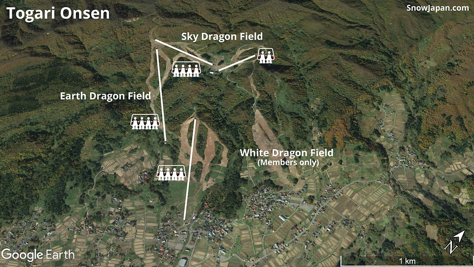 Ski area lift layout