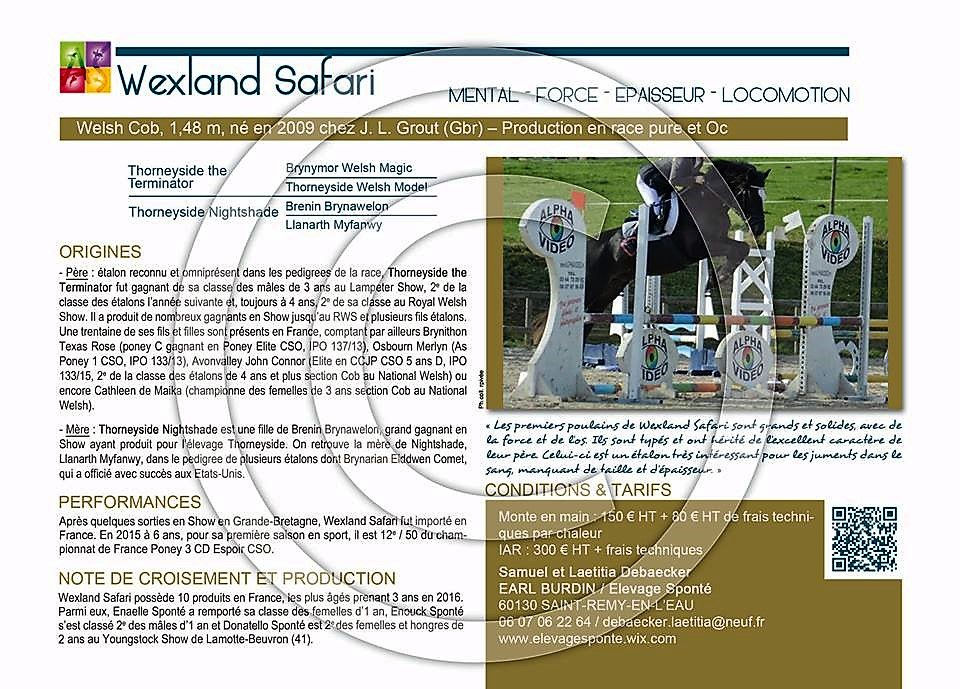Wexland Safari