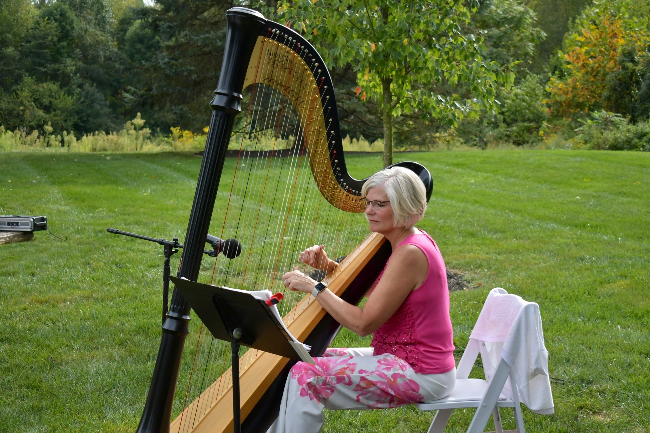Harpist Indianapolis Jill Pitz Wedding Harpist