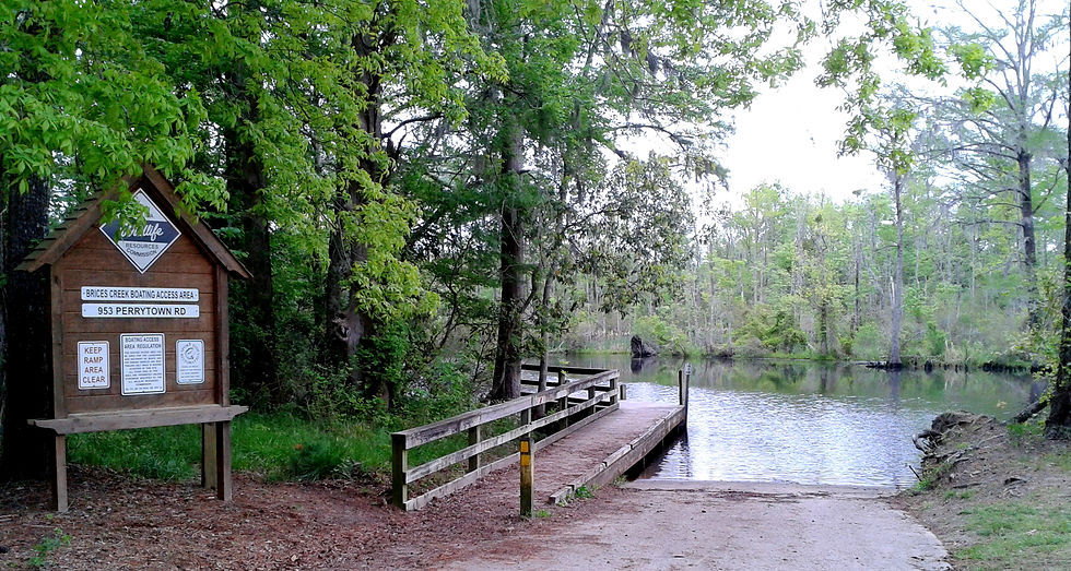 Brice's Creek Ramp (NF Ramp)