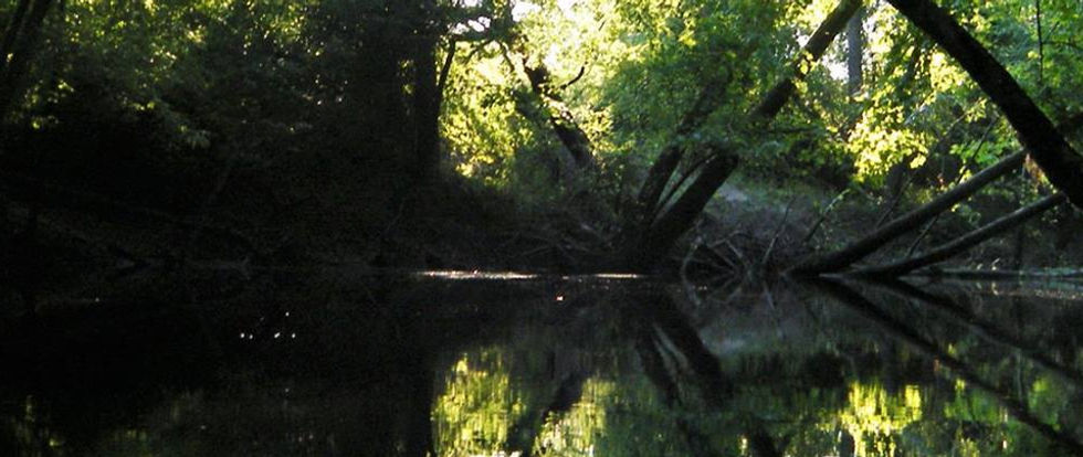 18699562_1807405432903625_75746736485845