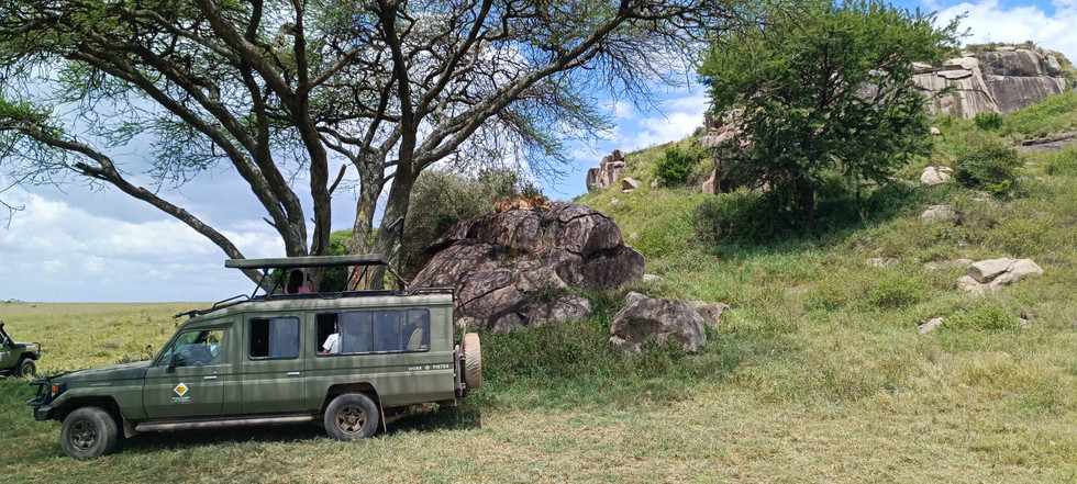 Tanzania Serengeti & Ngorongoro Parks
