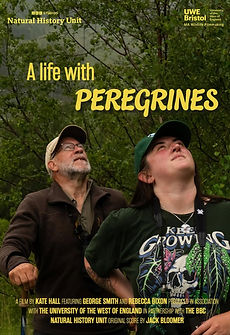 A Life With Peregrines Poster