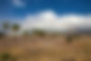 AdobeStock_330850729.jpeg