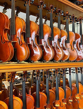 Two rows of violins