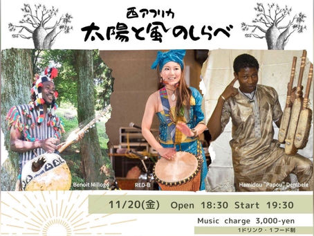 11/20金ライブ予告編