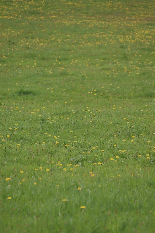 d30457f7682c00d913e56a2c1c97c9ae_edited.jpg