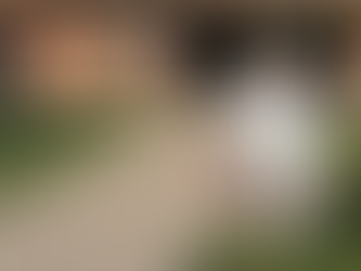 Catching Up: Where I’ve Been and What I’ve Been Up To