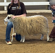 IMG_3348_edited.jpg
