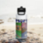 Thumbnail: Beyond Disabilities Stainless Steel Water Bottle with a Straw Lid