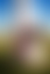 "Da dove nascono i bambini?" come rispondere a questa domanda.