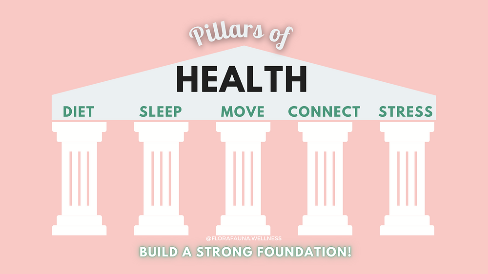 diet, sleep, movement, connection, stress are foundational pillars of your "health" building