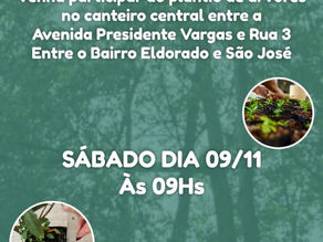 Faculdade Fibra participa de ação de plantio de árvores em Anápolis