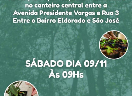 Faculdade Fibra participa de ação de plantio de árvores em Anápolis
