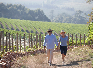 Vineyard