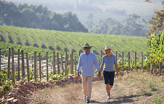 Vineyard 1