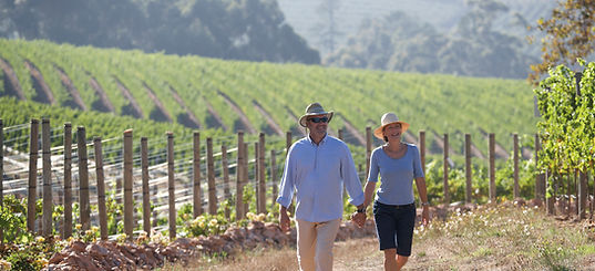 Couple Walking Vineyard