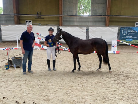 Ils sont qualifiés pour So Pony