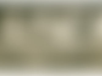 Dietary reform in the Baltic and East Central Europe. BALTIC WORLDS 2022:1-2