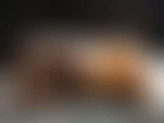 Kedi veya Köpek Sahiplendiniz: İlk 30 Günde Yapmanız Gerekenler