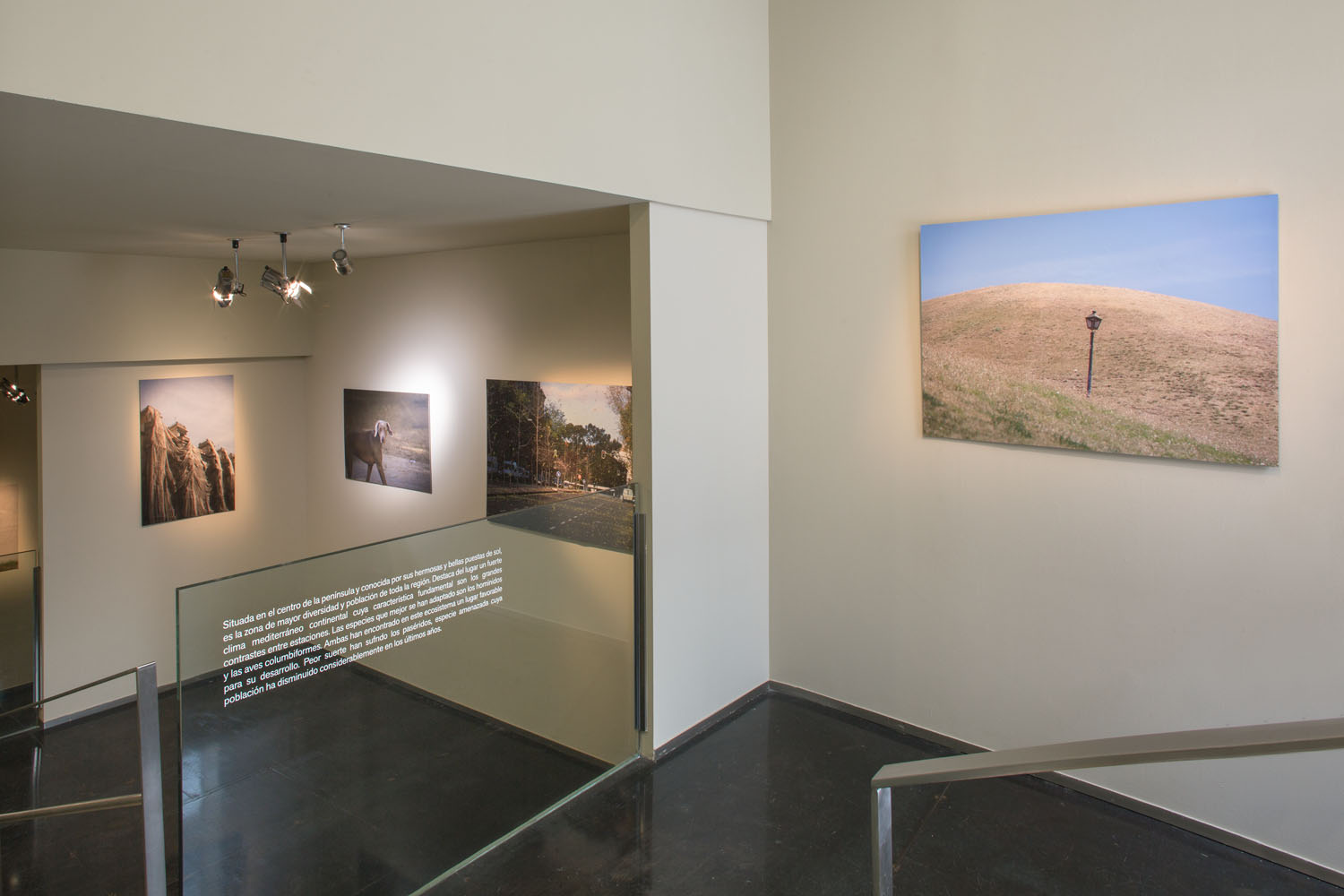 Exposición Safari Galería Cero