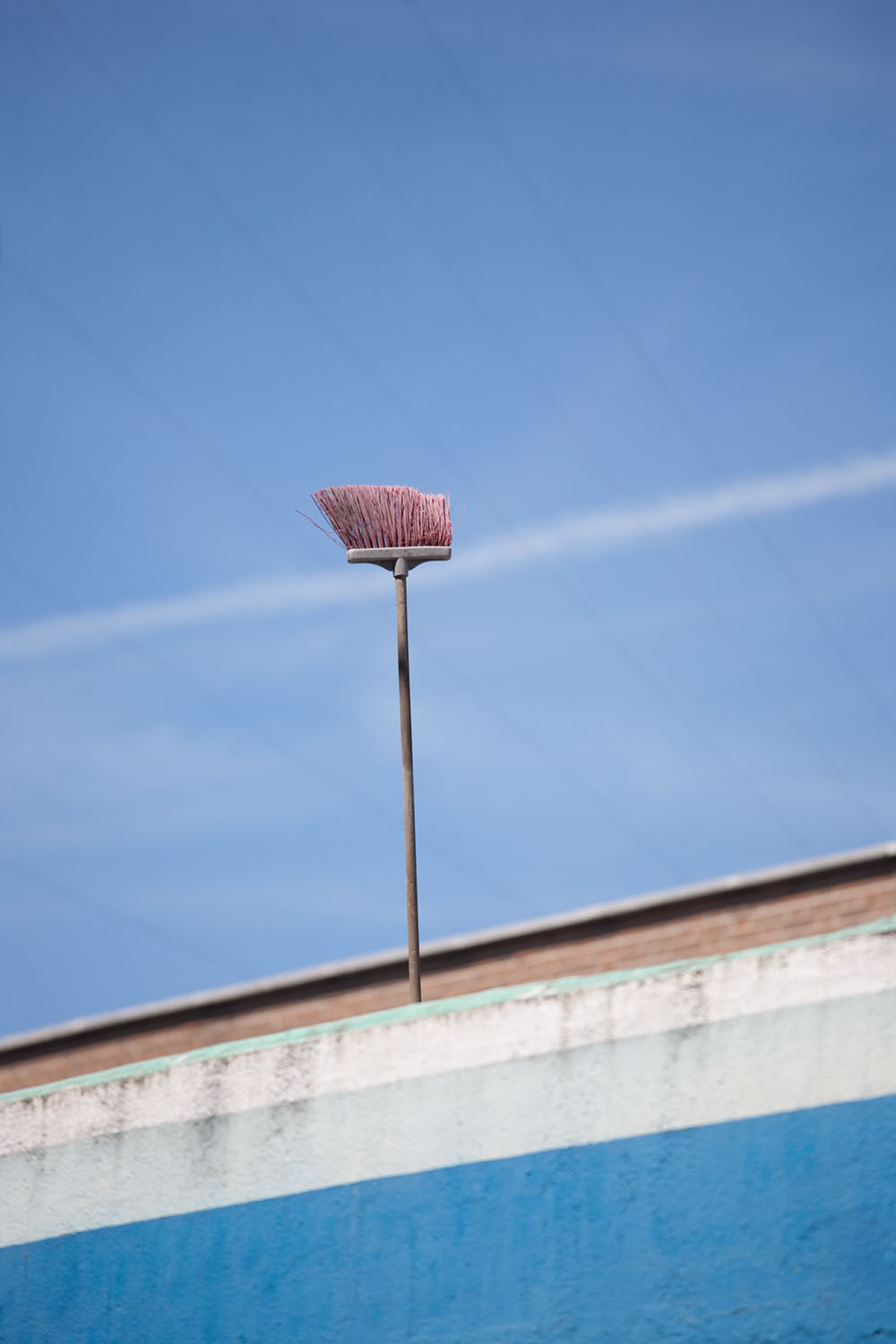 Desde un acercamiento naturalista en un entorno urbano, narro un viaje por el lugar donde vivo, la ciudad. Inspirándome en los documentales de naturaleza y utilizando las mismas herramientas que se emplean para retratar ecosistemas remotos y salvajes, documento la cotidianidad de un lugar cercano y doméstico. 

​

Mediante secuencias fotográficas que acercan el paisaje al retrato y viceversa, las imágenes del proyecto describen un mundo y sus habitantes. Un lugar donde lo natural es el rugir incesante del tráfico, que igual que el soplar del viento, el romper de las olas u otros fenómenos naturales, revela momentos de belleza y tranquilidad. Siguiendo el rastro de "lo natural" en un lugar "artificial", la caza se recrea en la búsqueda de diálogo o enfrentamiento con ese espacio en el que vivimos.