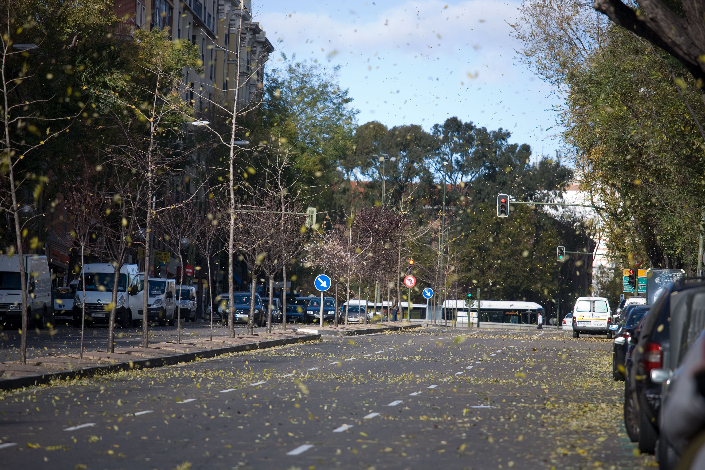Desde un acercamiento naturalista en un entorno urbano, narro un viaje por el lugar donde vivo, la ciudad. Inspirándome en los documentales de naturaleza y utilizando las mismas herramientas que se emplean para retratar ecosistemas remotos y salvajes, documento la cotidianidad de un lugar cercano y doméstico. 

​

Mediante secuencias fotográficas que acercan el paisaje al retrato y viceversa, las imágenes del proyecto describen un mundo y sus habitantes. Un lugar donde lo natural es el rugir incesante del tráfico, que igual que el soplar del viento, el romper de las olas u otros fenómenos naturales, revela momentos de belleza y tranquilidad. Siguiendo el rastro de "lo natural" en un lugar "artificial", la caza se recrea en la búsqueda de diálogo o enfrentamiento con ese espacio en el que vivimos.