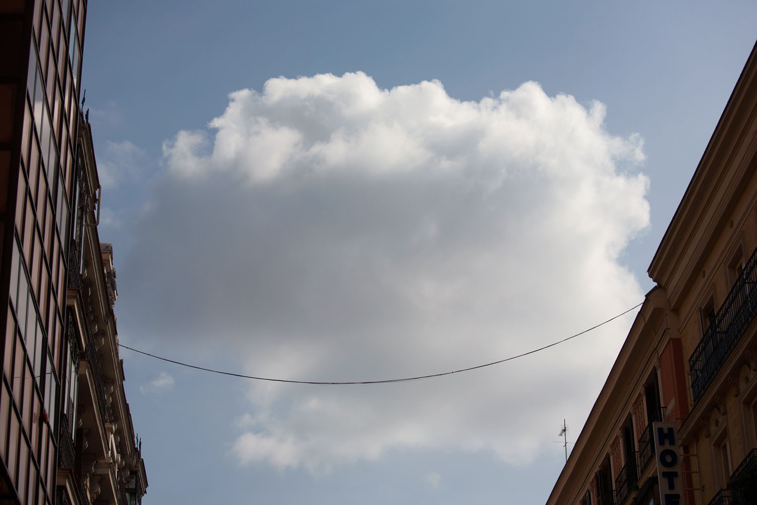 Desde un acercamiento naturalista en un entorno urbano, narro un viaje por el lugar donde vivo, la ciudad. Inspirándome en los documentales de naturaleza y utilizando las mismas herramientas que se emplean para retratar ecosistemas remotos y salvajes, documento la cotidianidad de un lugar cercano y doméstico. 

​

Mediante secuencias fotográficas que acercan el paisaje al retrato y viceversa, las imágenes del proyecto describen un mundo y sus habitantes. Un lugar donde lo natural es el rugir incesante del tráfico, que igual que el soplar del viento, el romper de las olas u otros fenómenos naturales, revela momentos de belleza y tranquilidad. Siguiendo el rastro de "lo natural" en un lugar "artificial", la caza se recrea en la búsqueda de diálogo o enfrentamiento con ese espacio en el que vivimos.