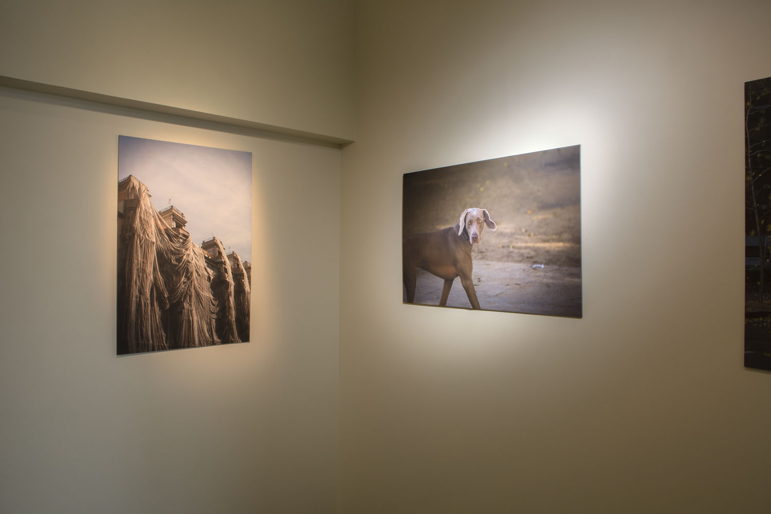 Exposición Safari Galería Cero