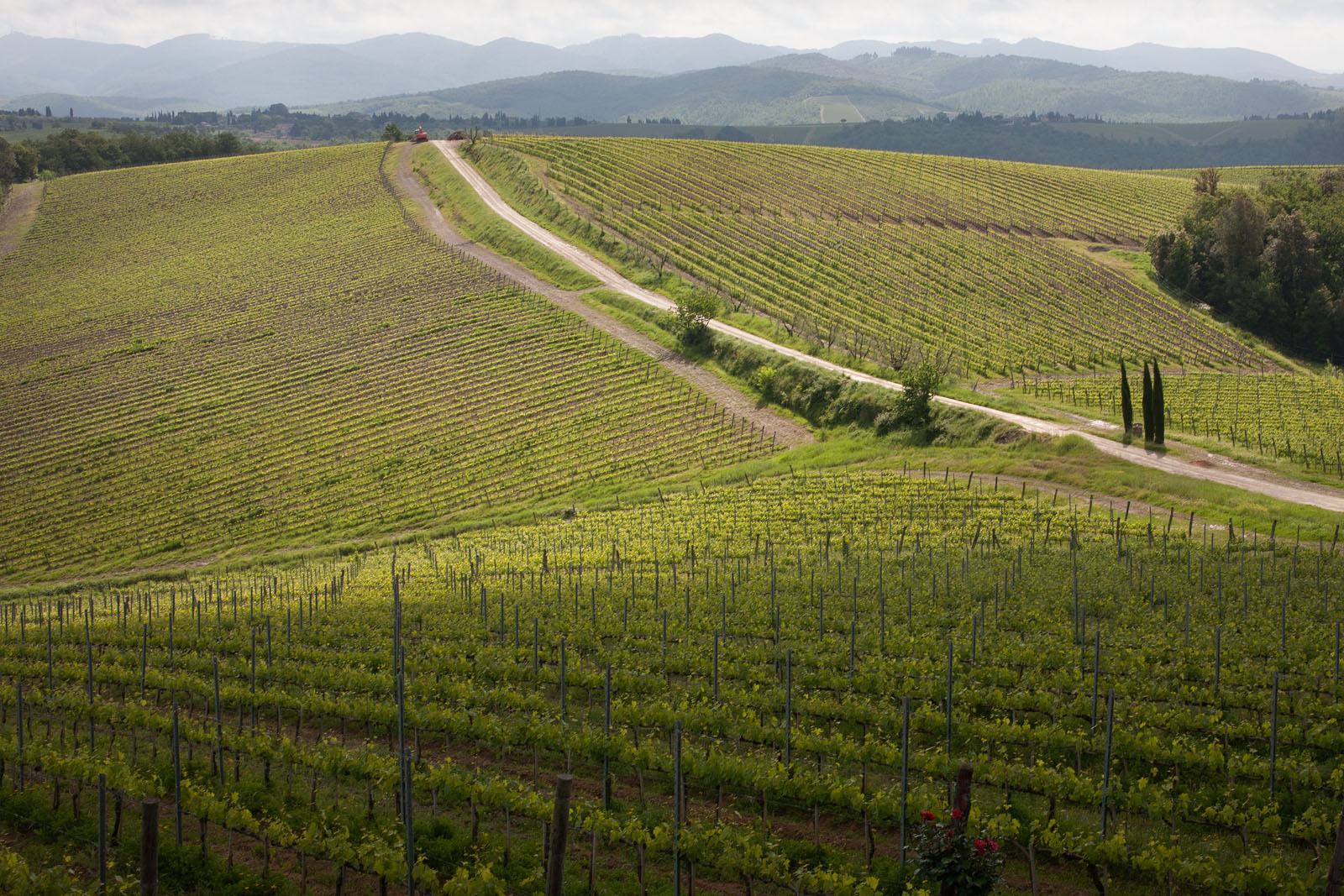Wine Resort Dievole Vagliagli
Chianti Classico
IAG Inversora Agroindustrial