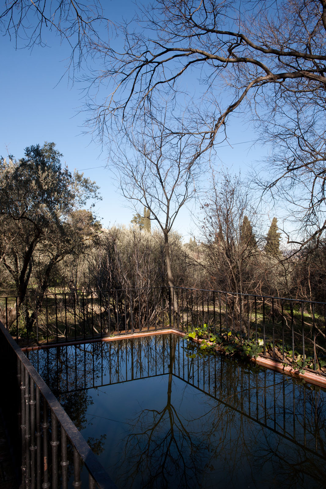 Gregorio Marañón
Harper´s Bazaar