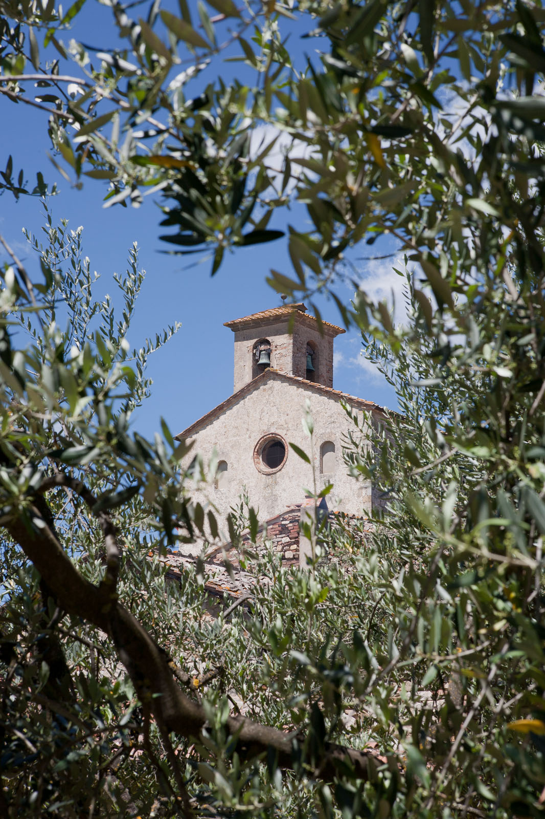 Wine Resort Dievole Vagliagli
Chianti Classico
IAG Inversora Agroindustrial