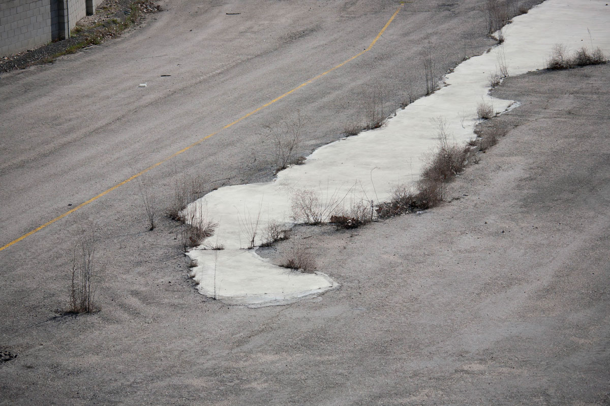 Desde un acercamiento naturalista en un entorno urbano, narro un viaje por el lugar donde vivo, la ciudad. Inspirándome en los documentales de naturaleza y utilizando las mismas herramientas que se emplean para retratar ecosistemas remotos y salvajes, documento la cotidianidad de un lugar cercano y doméstico. 

​

Mediante secuencias fotográficas que acercan el paisaje al retrato y viceversa, las imágenes del proyecto describen un mundo y sus habitantes. Un lugar donde lo natural es el rugir incesante del tráfico, que igual que el soplar del viento, el romper de las olas u otros fenómenos naturales, revela momentos de belleza y tranquilidad. Siguiendo el rastro de "lo natural" en un lugar "artificial", la caza se recrea en la búsqueda de diálogo o enfrentamiento con ese espacio en el que vivimos.
