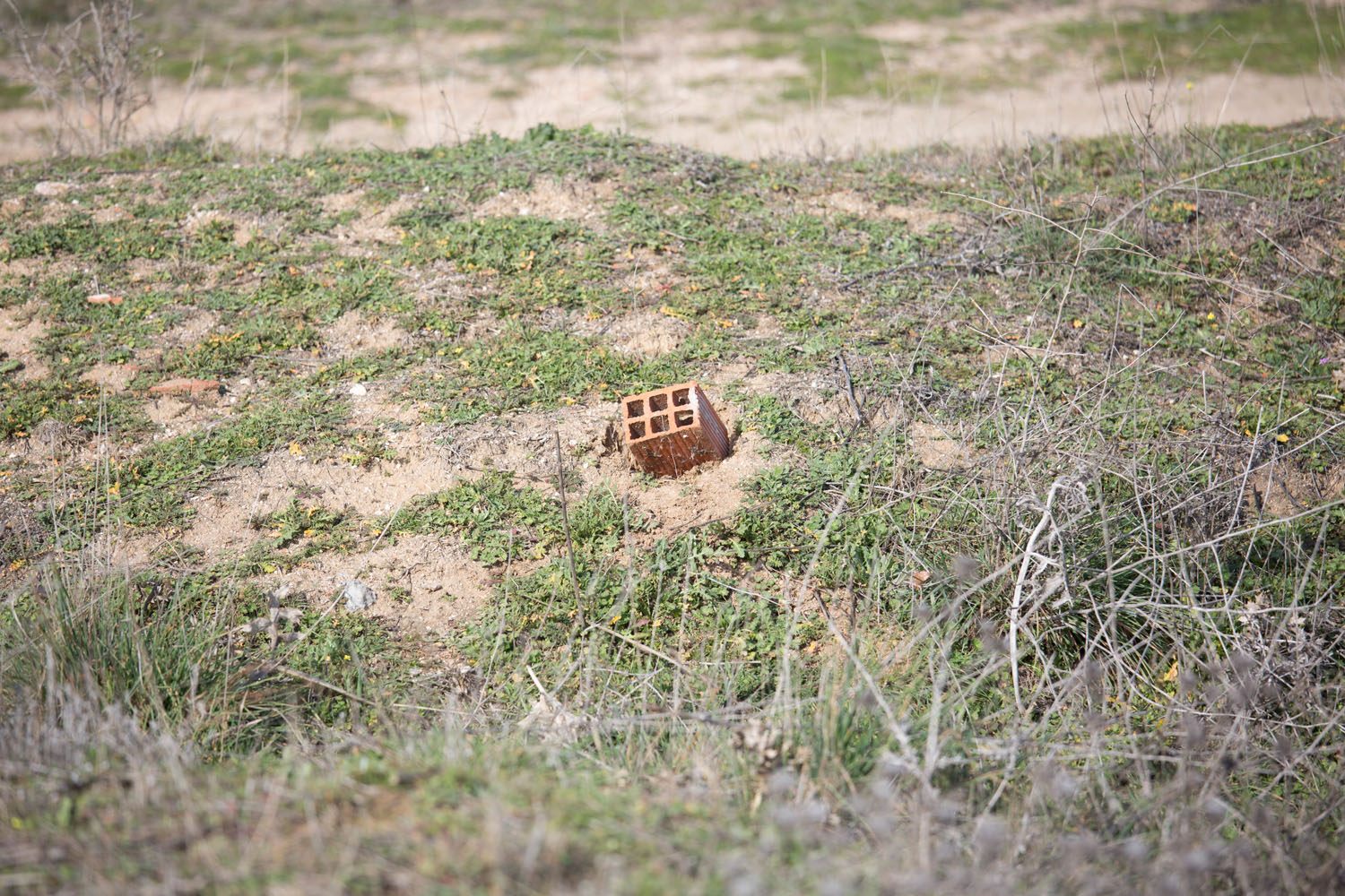 Desde un acercamiento naturalista en un entorno urbano, narro un viaje por el lugar donde vivo, la ciudad. Inspirándome en los documentales de naturaleza y utilizando las mismas herramientas que se emplean para retratar ecosistemas remotos y salvajes, documento la cotidianidad de un lugar cercano y doméstico. 

​

Mediante secuencias fotográficas que acercan el paisaje al retrato y viceversa, las imágenes del proyecto describen un mundo y sus habitantes. Un lugar donde lo natural es el rugir incesante del tráfico, que igual que el soplar del viento, el romper de las olas u otros fenómenos naturales, revela momentos de belleza y tranquilidad. Siguiendo el rastro de "lo natural" en un lugar "artificial", la caza se recrea en la búsqueda de diálogo o enfrentamiento con ese espacio en el que vivimos.