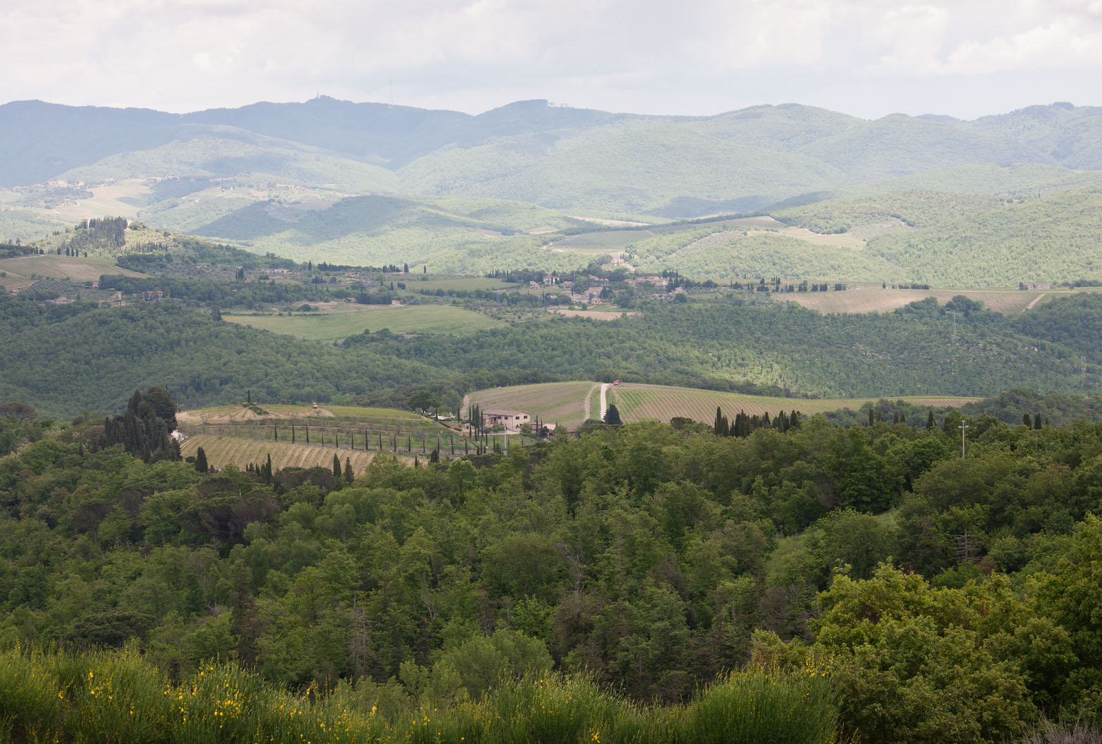Wine Resort Dievole Vagliagli
Chianti Classico
IAG Inversora Agroindustrial