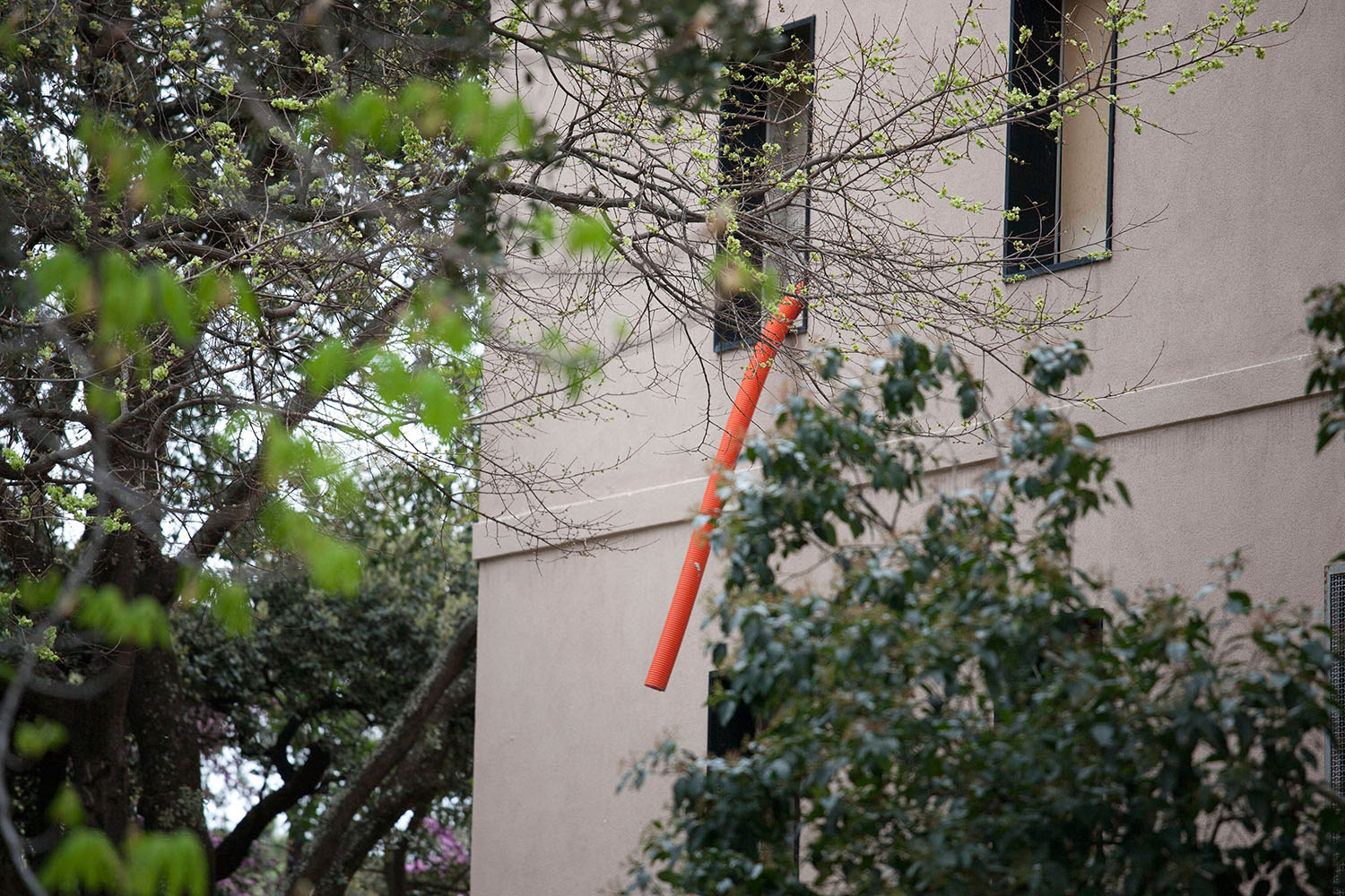 Desde un acercamiento naturalista en un entorno urbano, narro un viaje por el lugar donde vivo, la ciudad. Inspirándome en los documentales de naturaleza y utilizando las mismas herramientas que se emplean para retratar ecosistemas remotos y salvajes, documento la cotidianidad de un lugar cercano y doméstico. 

​

Mediante secuencias fotográficas que acercan el paisaje al retrato y viceversa, las imágenes del proyecto describen un mundo y sus habitantes. Un lugar donde lo natural es el rugir incesante del tráfico, que igual que el soplar del viento, el romper de las olas u otros fenómenos naturales, revela momentos de belleza y tranquilidad. Siguiendo el rastro de "lo natural" en un lugar "artificial", la caza se recrea en la búsqueda de diálogo o enfrentamiento con ese espacio en el que vivimos.