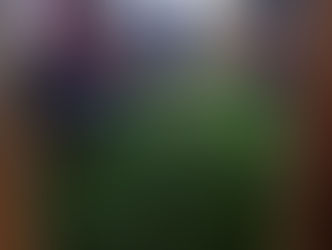 Techniek & coördinatie & cognitieve vaardigheden training Praktijk 